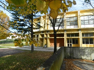 Brochure Scuola Secondaria di I Grado "Enrico Pea"